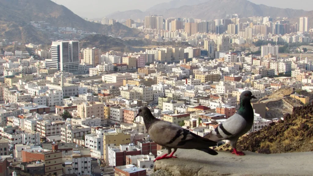Dos palomas en una cornisa con vistas a los edificios y las montañas de La Meca, ciudad donde un lugar de ziyarah cerrado obliga a tener un plan B
