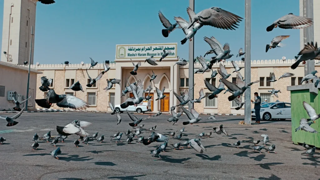 Pigeons in flight beside the Mash'ar al-Haram Mosque, Makkah – how to book a Makkah taxi